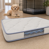Matelas de voyage rafraîchissant pour animaux de compagnie en silicone OEM avec fenêtre de visualisation et dossier en maille