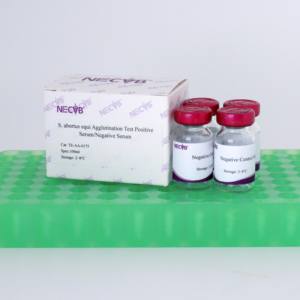 Kit per il Test dell'agglutinazione della Salmonella Abortus Equi | Reagente diagnostico veterinario ad alta specificità per l'aborto equino - Product Image 5