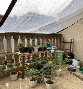 Bâches résistantes imperméables en vinyle transparent avec œillets, bâche en <span class=keywords><strong>plastique</strong></span> <span class=keywords><strong>pour</strong></span> <span class=keywords><strong>serre</strong></span>, bâche en poly transparente <span class=keywords><strong>pour</strong></span> <span class=keywords><strong>jardin</strong></span> - Product Image 4