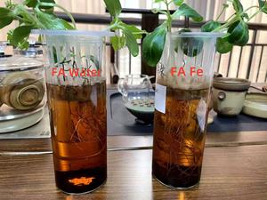 Горячая распродажа: высокоэффективное удобрение с фульвовой и гуминовой кислотами, гуматом калия, предотвращающее желтеение растений, с феррофурами и железом - Product Image 3