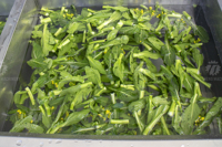 Laveuse de surface automatique à bulles, citron, chou, légumes, manioc, pommes de terre, fruits, viande
