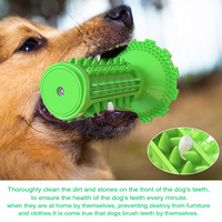 Jouet à mâcher pour chien en TPR, brosse à dents pour animaux, bâtonnet dentaire molaire avec ventouse