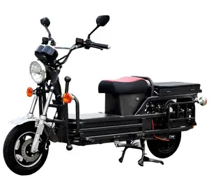 2023 Nova venda de qualidade superior carga king motocicletas adulto barato carga scooter elétrico com melhor preço