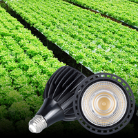 Ampoule LED PAR 30 à spectre complet 20W, CRI élevé, finition blanche, corps de lampe en aluminium COB, éclairage professionnel pour la croissance des plantes d'intérieur