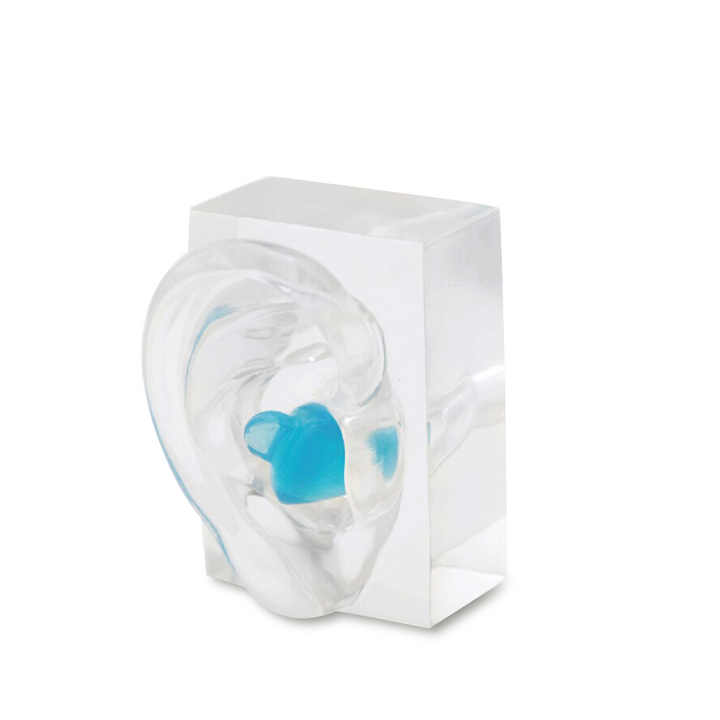 Clear Acrylic Artificial Ear Model for Ear Impression Kit
