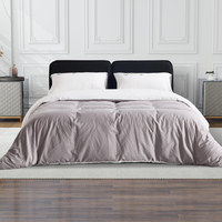 Base de Cama Moderna Enrollable de Tamaño Completo, Compacta, Ahorra Espacio, Soporte de Esponja Completo, Tapicería de Tela, Modelo de Marca Privada