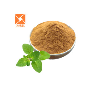 식품 등급 쐐기풀 잎 추출물 쐐기풀 뿌리 추출물 분말 쐐기풀 추출물 - Product Image 3