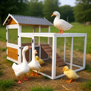 Poulailler en bois pour poulets et canards, 77 pouces, extérieur, imperméable, nichoir, cage à oiseaux et lapins, cage pour animaux écologique - Product Image 2