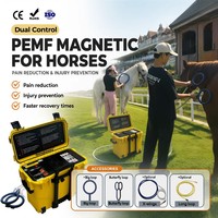 Appareil PEMF équin haute intensité pour la thérapie équine, équipement de magnétothérapie portable, fabrication directe OEM ODM