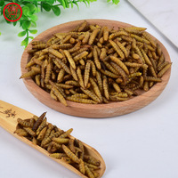 100% naturel en vrac vers à haute teneur en calcium haute teneur en protéines alimentation animale séchage au micro-ondes séché noir soldat mouche larves pour la nourriture des oiseaux