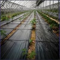 Zware PP PE geweven onkruidmat, UV-bestendig, doorlatend gronddoek voor groenteteelt, landbouw, boomgaard en planten.