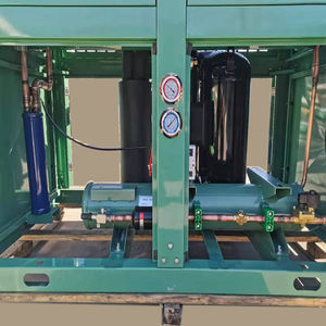 Unidad de refrigeración Ac para techo, unidad de refrigeración de habitación fría para aves de corral, carga en Turquía de Bitzer - Product Image 5