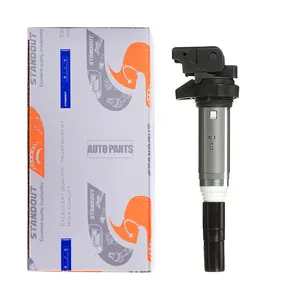 12138616153 BMW E60 E46 Car Ignition Coil For BMW Ignition Coil 12138616153