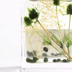 Beast Wild Mint Rosemary <b>Reed</b> <b>Diffuser</b> 200ml Alcohol Free Long Lasting Aroma - Product Image 5