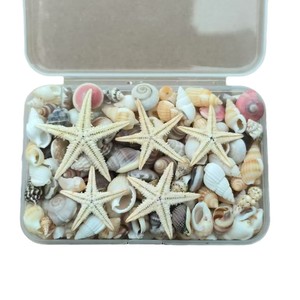 Livraison Gratuite Coquillages Naturels, Étoiles de Mer et Poissons pour Aménagement Paysager, Matériaux DIY Faits Main, Décoration Cadre Photo, Bouteille à Souhaits, Océan - Product Image 5