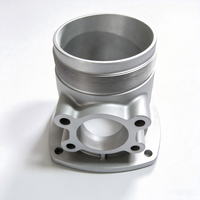 Pièces moulées en métal sur mesure pour corps de pompe, boîtier de valve, coque de cylindre en fonte, acier, aluminium, usinage CNC, fabrication OEM