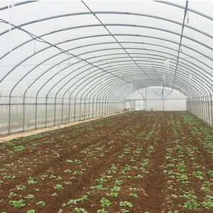 Invernaderos agrícolas de un solo espacio para cultivo de plantas agrícolas, precio bajo, alta calidad