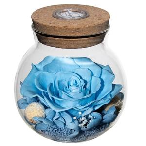 Bouteille à vœux Rose Éternelle avec couvercle en verre créatif, veilleuse décorative, cadeau d'anniversaire Tanabata, dégradé multicolore - Product Image 5