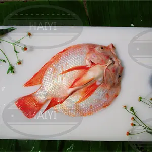 Frozen Red Tilapia Butterfly 200/300 80%NW