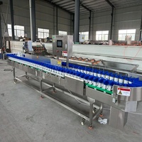 Tomaten- en groentesorteermachine