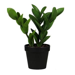 Piccola foglia artificiale di Zamioculcas Zamiifolia Bonsai per decorazione da tavola prodotto vegetale di qualità Premium - Product Image 6