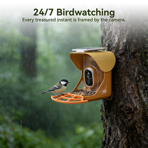 Nouvelle mangeoire à oiseaux solaire avec caméra intégrée, alimentée par l'énergie solaire, peut être suspendue à l'extérieur et est fabriquée en métal durable - Product Image 3