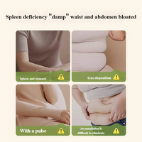 Bestseller Ermi Natürliche Kräuter-Entgiftungs-Schlankheitspflaster Hypoallergene Einweg-Bauchpflaster 5 Stück pro Beutel für Körperpflege