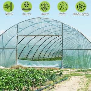 แผ่นพลาสติกคลุมโรงเรือน หนา 6 มิล โปร่งใส ทนรังสียูวี ฟิล์มโพลีเอทิลีน ทนทานต่อการฉีกขาด สำหรับคลุมโครงเหล็กในงานสวน - Product Image 4