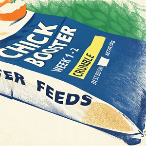 Sac en papier tissé en PP laminé en gros avec une forte force de traction pour l'emballage d'aliments pour animaux et chiens - Product Image 3