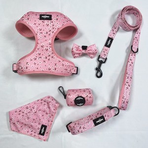 Conjunto de correa de <span class=keywords><strong>collar</strong></span> de perro de Venta caliente con patrón personalizado acolchado de neopreno conjunto de <span class=keywords><strong>collar</strong></span> de correa para mascotas para perros pequeños medianos grandes - Product Image 6