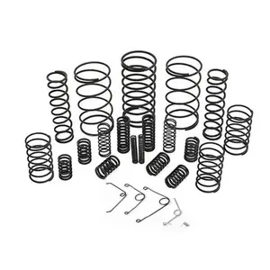 Custom Metal Flat Wire Forming Extension Spring Compression Springs Stainless Steel Coil Spiral SUS 301 Torsion Spring