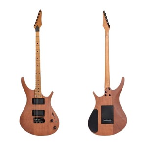 Guitarra eléctrica transfronteriza Alnico5 pequeña con doble vibrato, guitarra eléctrica de rock para hombres y mujeres con núcleo de flor de durazno completo - Product Image 5
