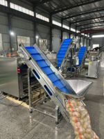 Automatische commerciële aardappel- en fruit-schillijn met motor, hoge efficiëntie, was-, snij- en vacuümverpakkingsfuncties