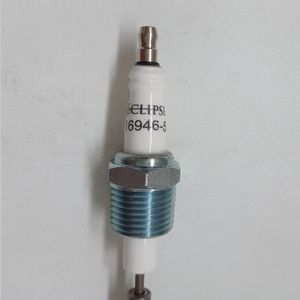 Ignitor Eclipse 16946-5 com Vareta e Tampa para Máquinas de Automação Peças Essenciais para Caldeiras - Product Image 3