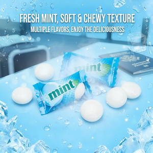 Dragées de <span class=keywords><strong>chewing</strong></span>-<span class=keywords><strong>gum</strong></span> sans sucre au xylitol, saveur menthe, pour une haleine fraîche - Product Image 4