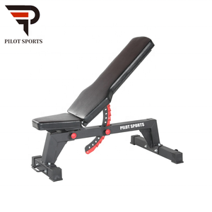 Hot Sale Incline Sit up <strong>Bench</strong> Adjustable <strong>Folding</strong> Multifunction Dumbbell Exercise <strong>Weight</strong> Flat <strong>Bench</strong> - Product Image 1
