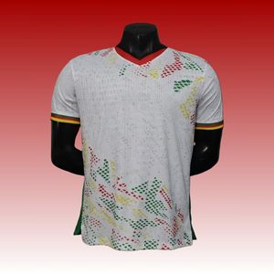 Nouvelle Afrique Sénégal Deux étoiles Blanc Champions Jersey Home <span class=keywords><strong>Maroc</strong></span> Football Jersey Football Uniforme Diy Football Jersey S-4XL - Product Image 3