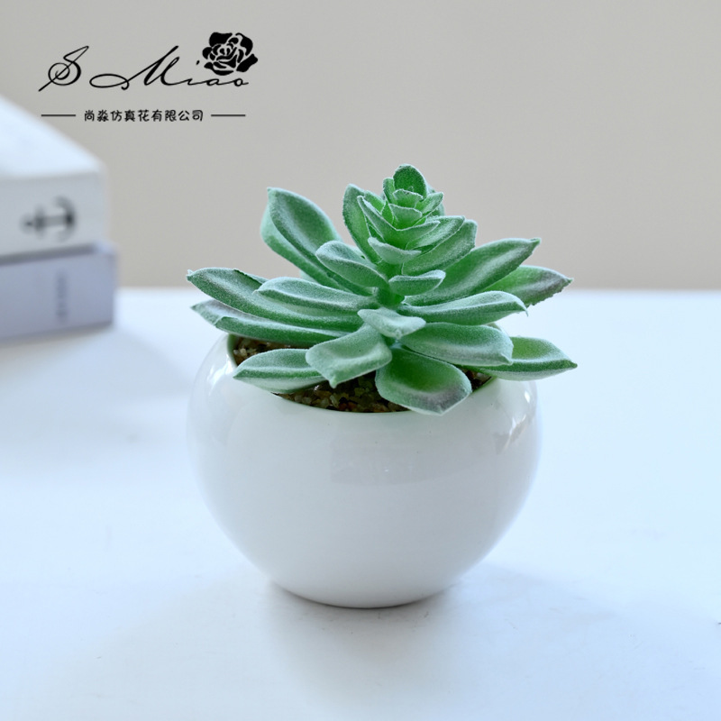 SKU_14