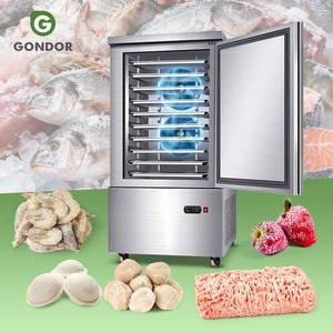 เครื่องทำความเย็นและแช่แข็งแบบเร็วสำหรับอาหารทะเล IQF ขนาดเล็ก 10x10 นิ้ว ผลิตจากสแตนเลสอิตาลี ราคาประหยัด - Product Image 1