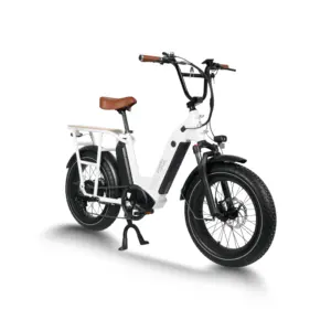 绿色自行车制造商电动自行车48v 750w电动自行车货物ebike