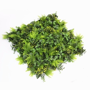 Personalizar tamaño <span class=keywords><strong>interior</strong></span> jardín vertical <span class=keywords><strong>de</strong></span> la <span class=keywords><strong>pared</strong></span> <span class=keywords><strong>de</strong></span> plantas musgo hierba <span class=keywords><strong>pared</strong></span> para Decoración - Product Image 4