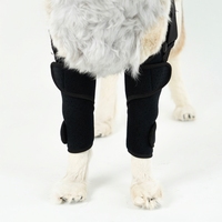 Nouvelle attelle carpienne respirante pour pattes avant de chien, antidérapante, pour soins des plaies et récupération des blessures, écologique et durable, en polyester PETSGUARD
