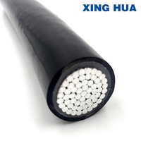 Cable de Alimentación de Bajo Voltaje con Aislamiento Mineral, Aislamiento con Revestimiento de PVC, Núcleo de Aluminio YJLV, Uso Industrial y de Construcción, 1*95mm