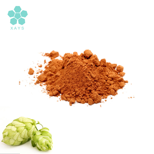 Poudre de fleurs de houblon naturelle 20:1 10:1, extrait de fleurs de houblon - Product Image 1