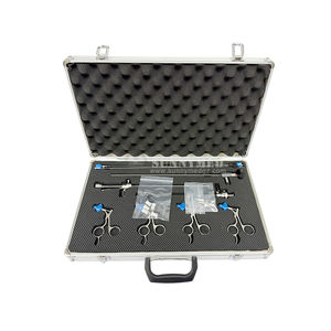 SY-P002SD Yüksek Kaliteli 2.9mm Histeroskopi Seti, Jinekolojik Cerrahi için Yüksek Çözünürlüklü Görüntüleme ile - Product Image 2