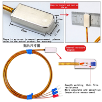 Sensor Suhu PT100 Surface Mount Akurasi Tinggi Sensor RTD dengan Kabel Terlindung PTFE 2m Kabel Jalin Sensor Surface Mount