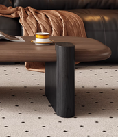 Table basse ovale minimaliste haut de gamme, table d'appoint premium pour petit appartement, idéale pour le salon et la maison