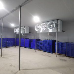 Panneaux de pièce fraîche de réfrigérateur de congélateur de souffle d'entreposage au froid les plus populaires 100mm - Product Image 3