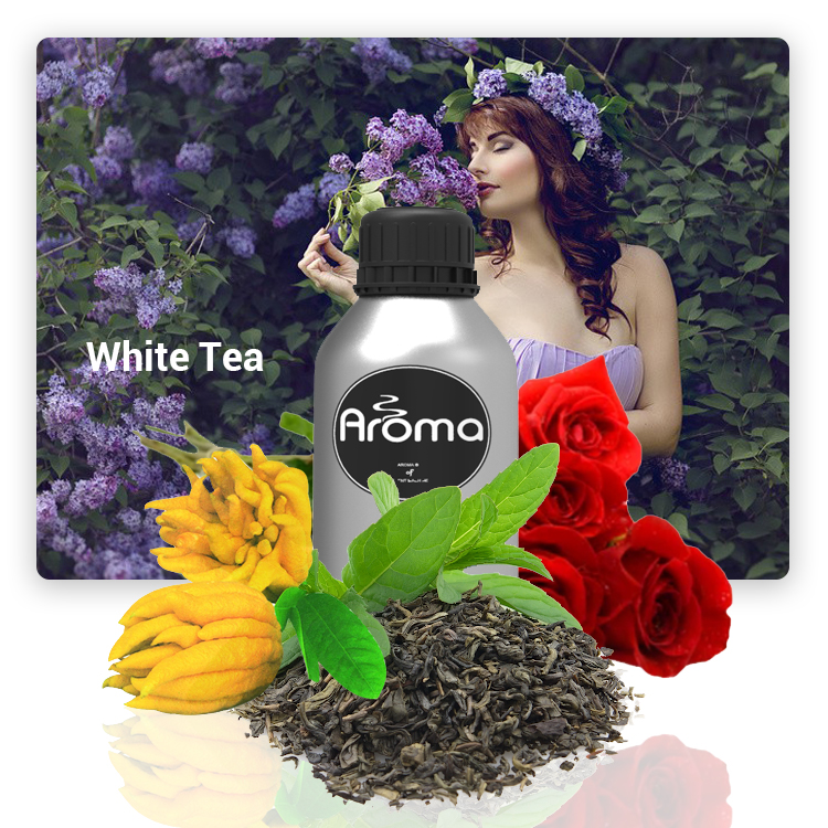 Роскошный ароматизатор AR6790 для отеля с белым чаем, ароматизатор, ароматические масла, концентрированный ароматизатор