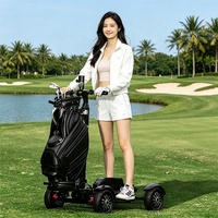 Voiturette de golf électrique pliable à 4 roues 48V 2400W pour adultes